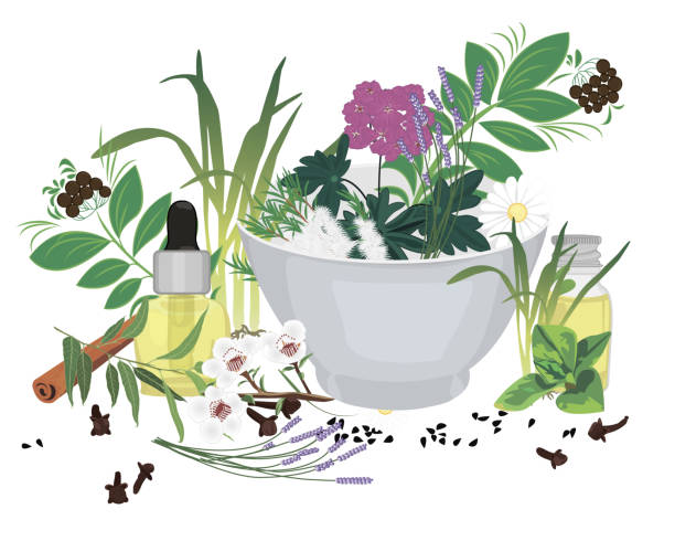 ilustraciones, imágenes clip art, dibujos animados e iconos de stock de conjunto de aceites esenciales ilustración vectorial aromaterapia - alternative medicine nature herbal medicine healthcare and medicine