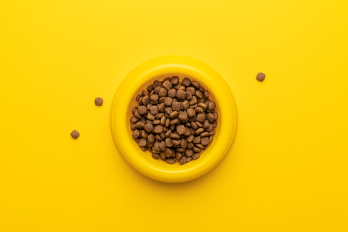 yellow pet bowl full of dry food on the yellow background