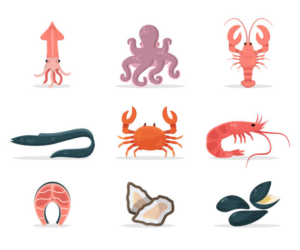 ilustrações de stock, clip art, desenhos animados e ícones de seafood flat vector illustration set - lobster seafood prepared shellfish crustacean