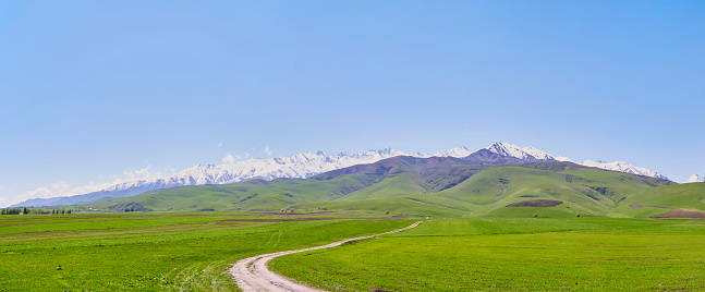 panorama, mountain landscape, in the foreground young green grass against the backdrop of a mountain range with snowy peaks, on a clear sunny day with a road leading deep into
