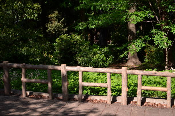 istock The view in Inokashira-Koen 1147246792