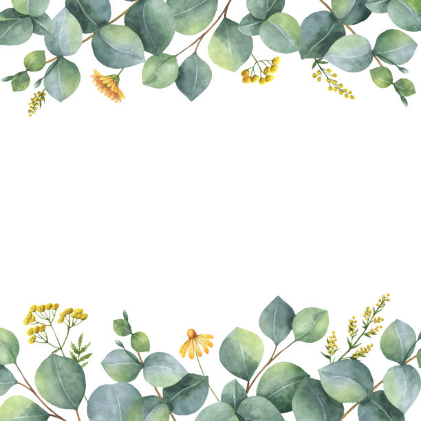 istock Watercolor vector card with green eucalyptus leaves and meadow plants. 1147246804