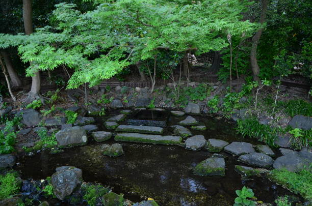 istock The view in Inokashira-Koen 1147247808
