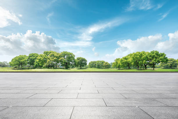 istock Empty floor and green forest natural landscape 1147249065