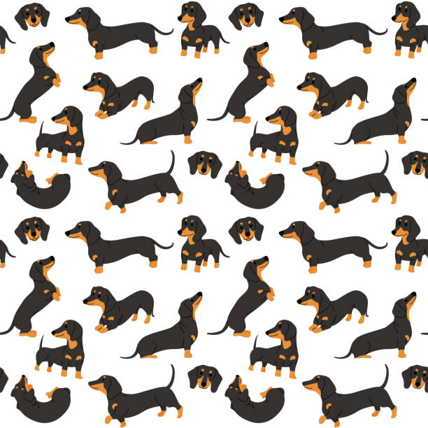 jamnik w akcji, bezszwowy wzór - dachshund stock illustrations