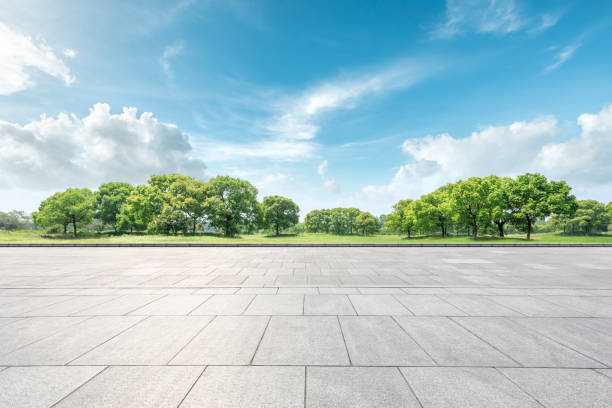 istock Empty floor and green forest natural landscape 1147249423