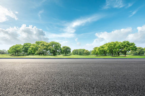 landstraße und grünwalder naturlandschaft - diminishing perspective spring photography tree stock-fotos und bilder