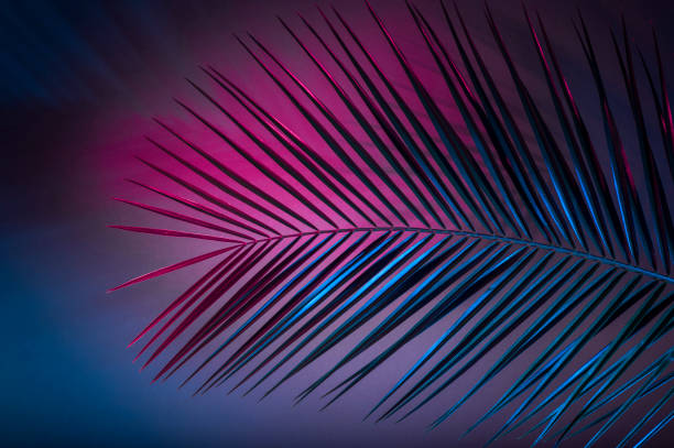 istock Holographic leaves. Concept art. Minimal surrealism background 1147250451