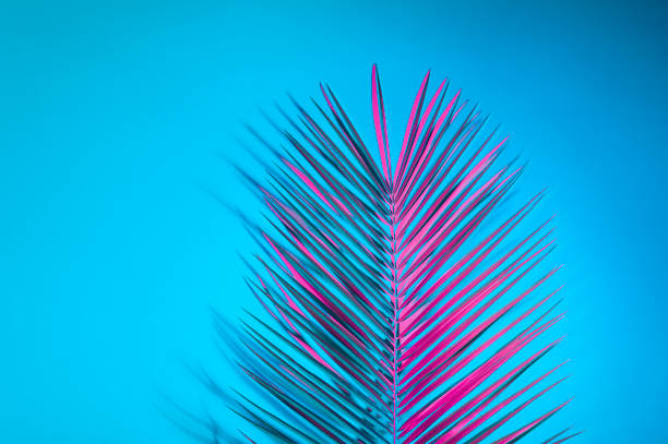 istock Holographic leaves. Concept art. Minimal surrealism background 1147250508