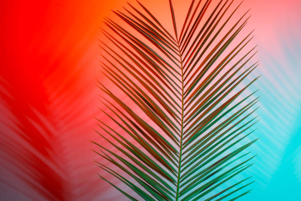 istock Tropical leaves in vibrant bold gradient holographic neon colors 1147251109