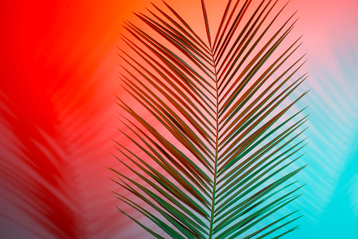 Tropical leaves in vibrant bold gradient holographic neon colors