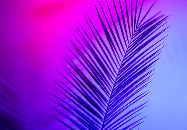 istock Tropical leaves in vibrant bold gradient holographic neon colors 1147251145