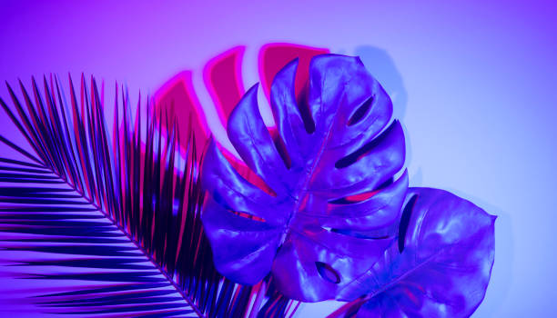 istock Tropical leaves in vibrant bold gradient holographic neon colors 1147251208
