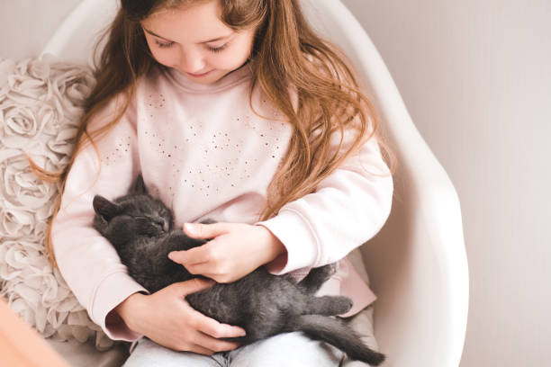 istock Girl with little kitten 1147251583