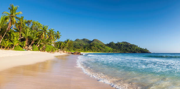 panoramic view of exotic beach at sunset - beach maui summer usa imagens e fotografias de stock