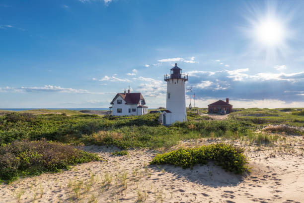 케이프 대구 등 대에 비치 듄 스 - lighthouse massachusetts beach coastline 뉴스 사진 이미지