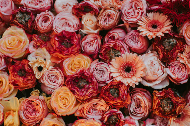 istock Floral vintage card with flowers. 1147257438