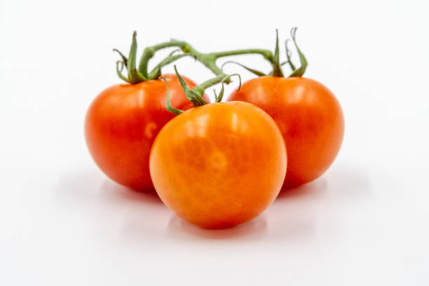 istock Three round red tomatoes with green branch on white background 1147259079