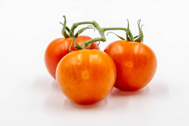 istock Three round red tomatoes with green branch on white background 1147259148