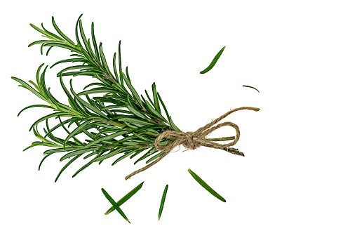 small bouquet of rosemary tied with jan string in front of white background