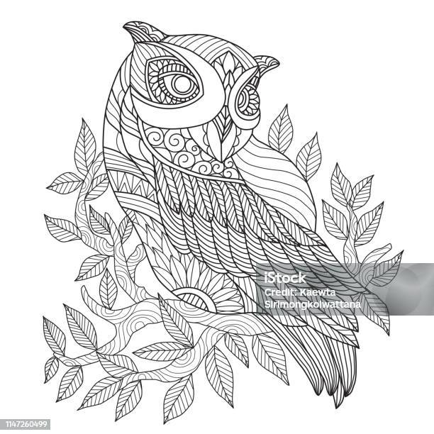 Hand Drawn Illustration Of Owl In Style Stock Illustration - Download Image Now - Owl, Coloring Book Page - Illlustration Technique, Line Art