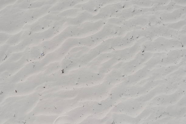 istock Top view of white sand on paradise beach 1147261292