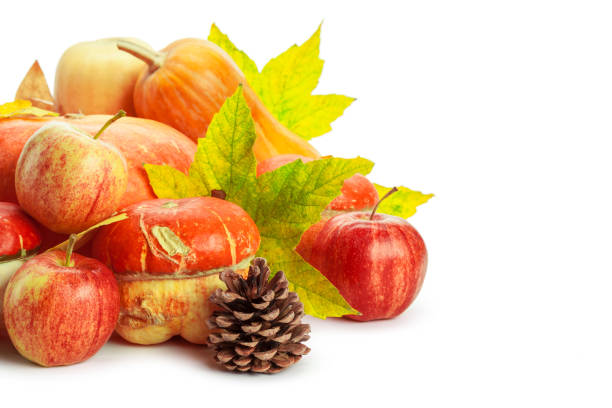 istock Autumn display with pumpkin and leaves isolated on white background 1147265931