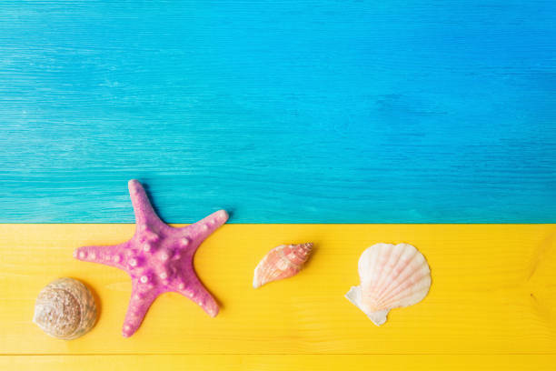 istock Seashell and starfish on yellow blue wooden background 1147270087
