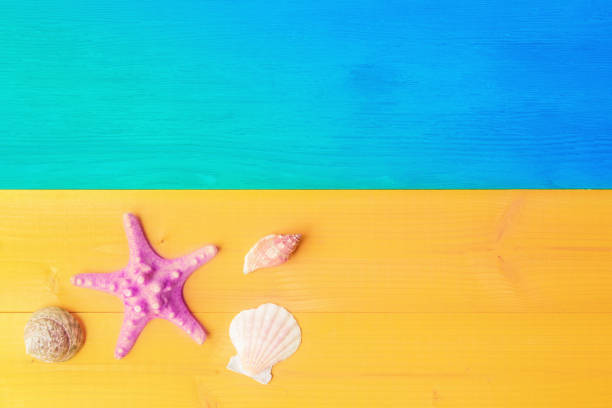 istock Seashell and starfish on yellow blue wooden background 1147270618