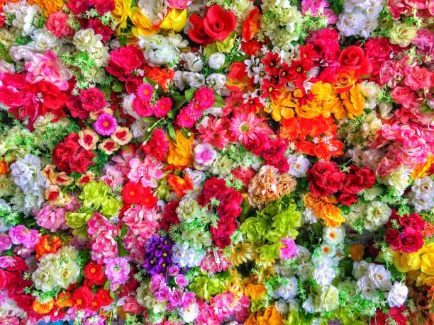 istock Full Frame Shot Of Colorful Flowers 1147274357