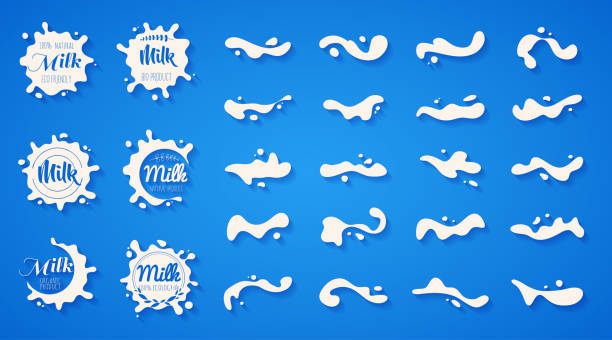 화이트 밀크 스플래쉬 블랏 벡터 세트입니다. 음료 요소입니다. 추상 액체입니다. 벡터 일러스트입니다. - drink close up dairy product flowing stock illustrations