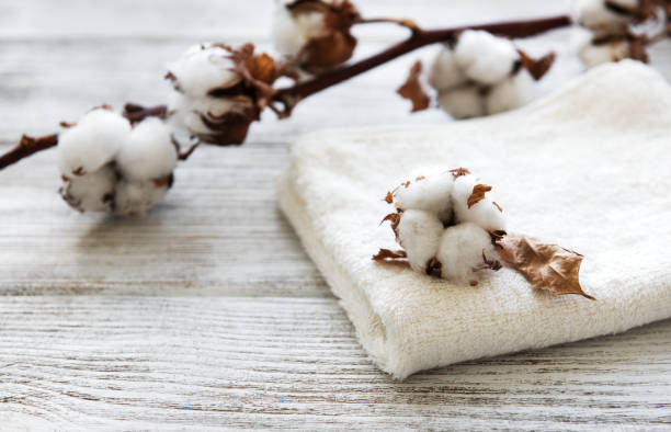 istock cotton flower and towel 1147275427