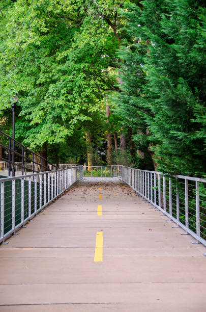 istock cement walkway across green forest 1147275928