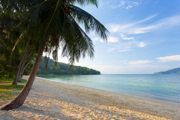 istock Sea. Tropical Paradise. 1147276950