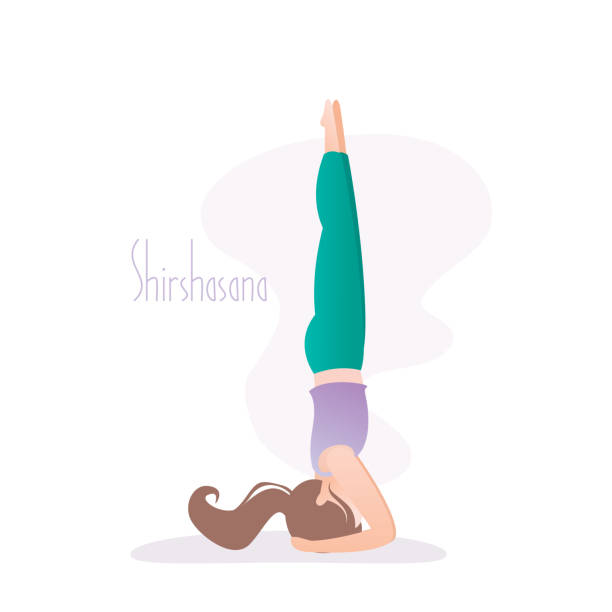 Girl doing yoga pose,Shirshasana or Yoga Headstand is an asana in hatha yoga Girl doing yoga pose,Shirshasana or Yoga Headstand is an asana in hatha yoga,vector illustration in trendy style shirshasana stock illustrations