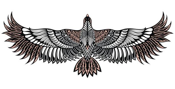 illustrations, cliparts, dessins animés et icônes de icône d’oiseau d’aigle. - ailes déployées