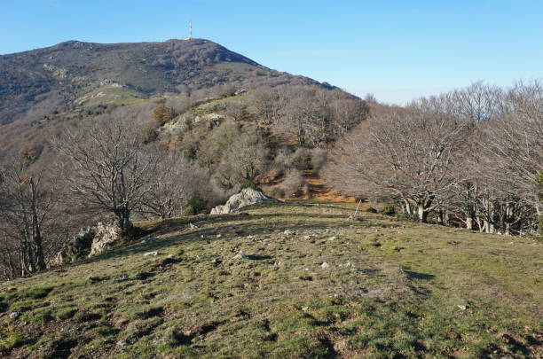 Mountain landscape Albera Massif Pyrenees