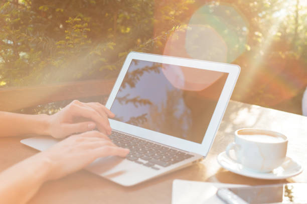 istock Woman using a laptop during a coffee break 1147283225