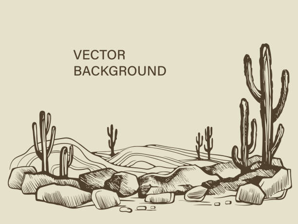 illustrazioni stock, clip art, cartoni animati e icone di tendenza di cactus nello schizzo del deserto dell'arizona - ovest