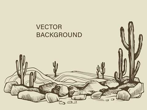 Cacti in the Arizona. Hand drawn vector sketch of the desert of South America prairie landscape.