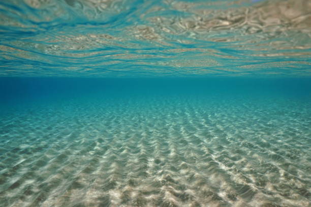 istock Sand underwater below sea surface natural scene 1147284367