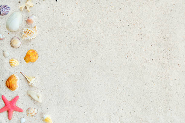 istock Top view of beach sand with  shells, starfish and coral. 1147285887
