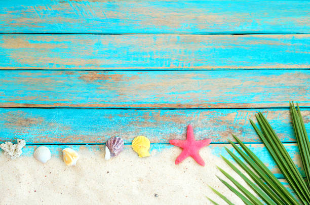 istock Summer background with starfish, shells, and coral on blue wooden background. 1147286071