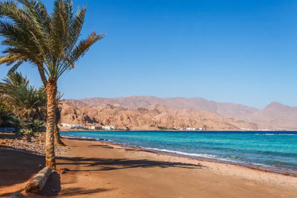 Photo of Sunny resort beach at the coast shore of Red Sea in Dahab, Sinai, Egypt, Asia in summer hot. Famous tourist destination near of Sharm el Sheikh. Bright sunny light