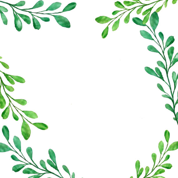 istock Beautiful watercolor decoration made of green hand drawn leaves with copy space, frame for invitations, print 1147288122