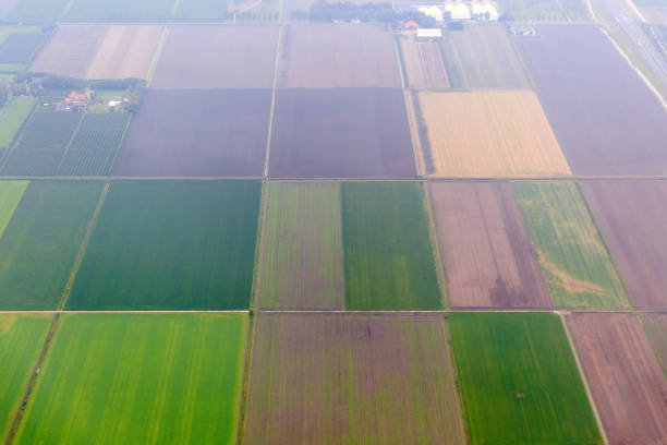 istock Netherlands aerial agriculture 1147289780