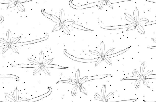 Vanilla seamless pattern. Flower and pod. Background with spice Vanilla seamless pattern. Flower and pod. Background with spice. Vector bud candy stock illustrations