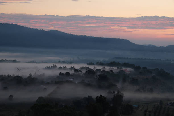 Fog in the morning over the mountain