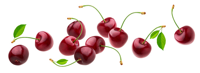 Cherry isolated on white background with clipping path, fresh cherries with stems and leaves, berry collection