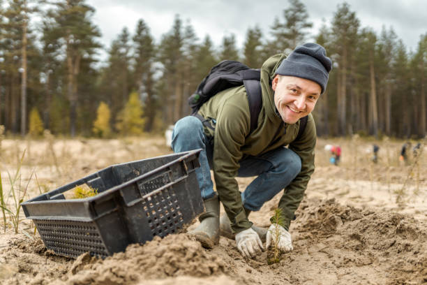 Man volunteer takes part at the reforestation